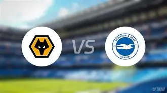 布莱顿内部会议纪要流出——关键时刻伤情更新；法甲使命明确；临场指挥获称赞的简单介绍